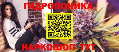 индика Конаково