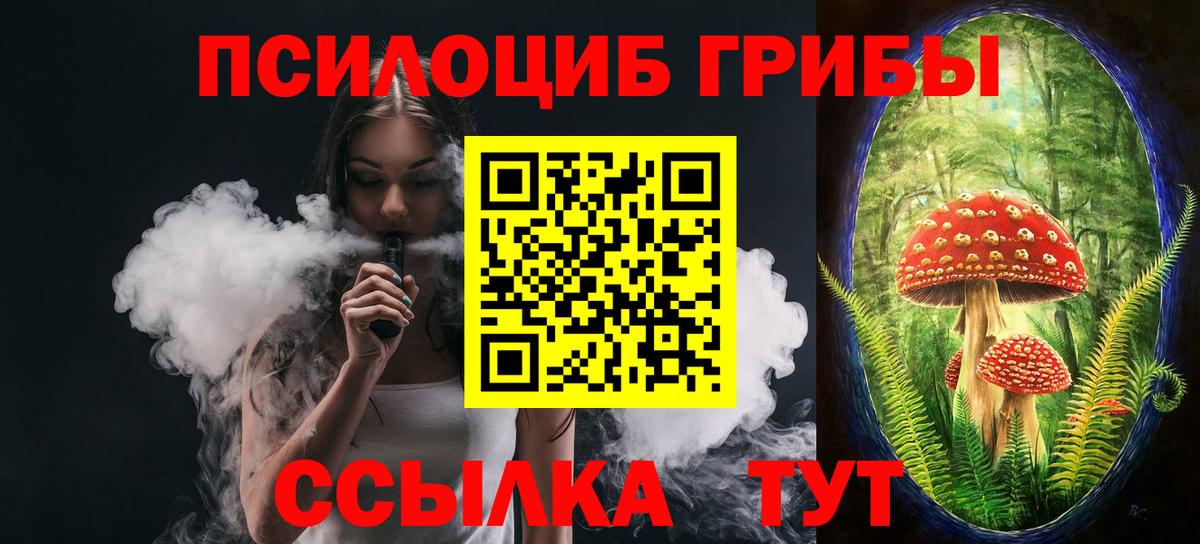 Кириши  Галлюциногенные грибы мицелий  где найти   Вход с VPN 